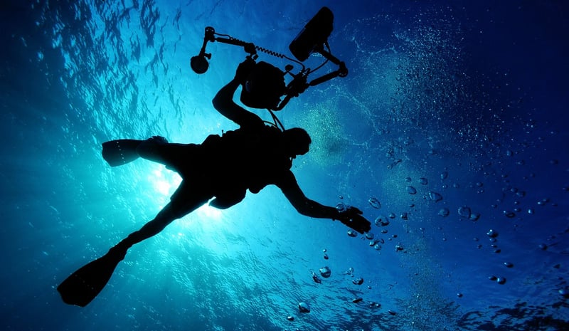 Diving Exploration